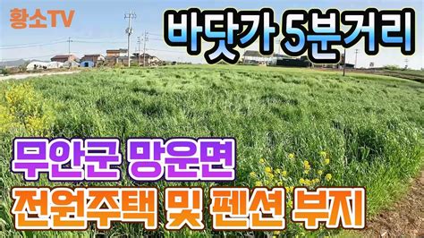 전남토지매매 1631 무안군 망운면 바닷가 5분거리 전원주택 및 펜션 부지 매매 YouTube