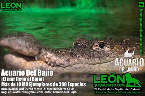 Acuario Del Bajío en León Guanajuato México LEÓN GUANAJUATO