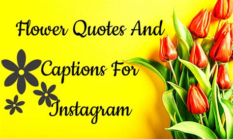 Amazing Flower Quotes For Instagram That You Should Use