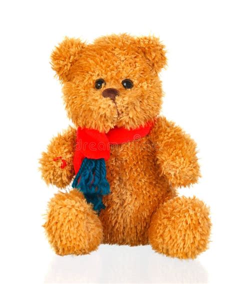 Brown Teddy Bear With Red Scarf Stock Photo Image Of Happy December