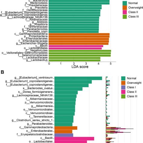 Microbial Biomarkers And Correlation With Different Degrees Of Obesity