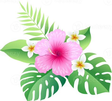 Hibiscus Flowers On Tropical Leaf Png