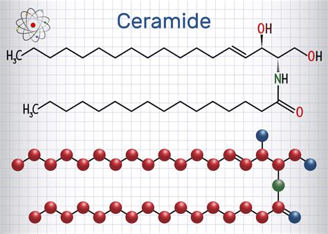ALL ABOUT CERAMIDE & ITS RELATIONSHIP TO SKIN-AGING - Flora’s Vanity