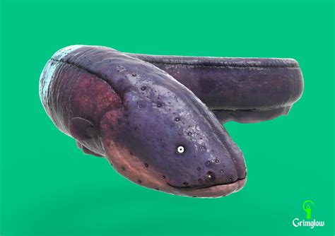 Artstation Electric Eel Game Assets