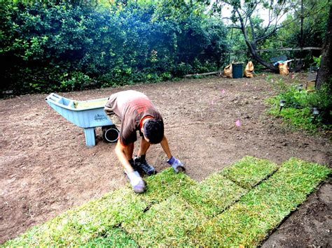 How to Lay Sod | The Grass Outlet