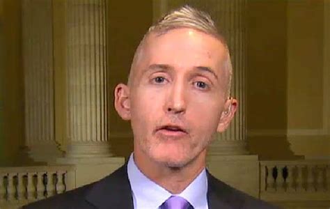 Trey Gowdy S Hair Innoculous