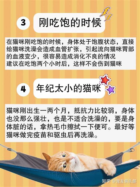 有哪些猫咪不能洗澡你真的知道吗？ 知乎