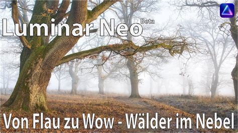 Luminar Neo Beta Wälder im Nebel YouTube