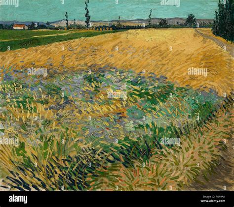 Wheatfield Fecha Junio De A Arles Dimensiones Cm X Cm