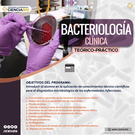 Bacteriolog A Cl Nica