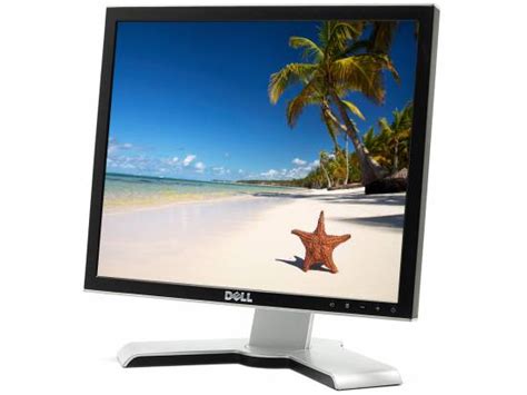 Dell 1707fp Lcd Monitor