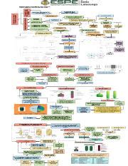 Fustillos Suntasig Alvaro Sebasti N Semana Pdf Fluid Catalytic