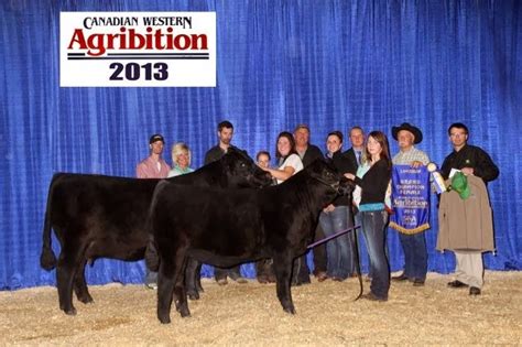 DIAMOND G CATTLE CO.: CWA - Limousin Show