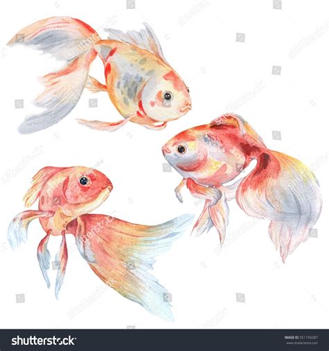 16,118 Fish Watercolor Painting Images, Stock Photos & Vectors ...