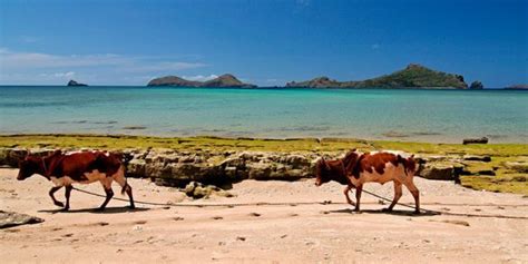 5 of the best Comoros Islands beaches | The Good Times by Intrepid