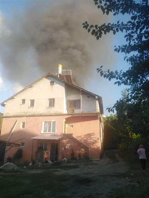 At Kat Nda Kan Yang N Korkuttu Zonguldak Pusula Son Dakika Haberleri