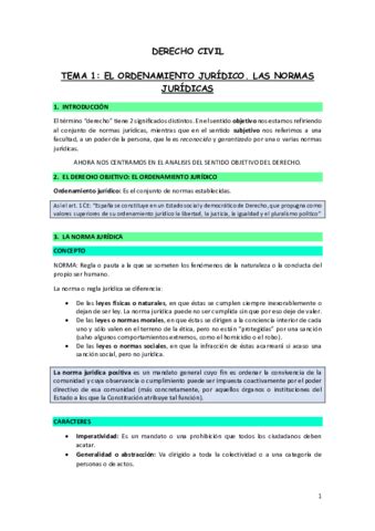 Resumen Tema El Derecho Y La Norma Juridica Pdf