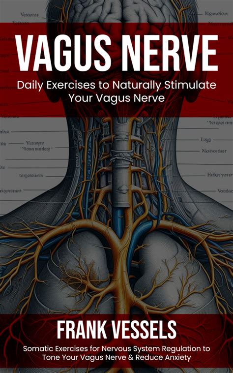 Vagus Nerve: Daily Exercises to Naturally Stimulate Your Vagus Nerve