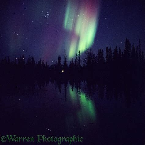 Aurora Borealis photo WP01827