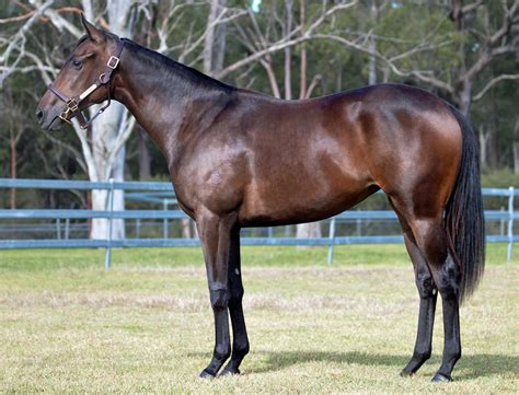 Fifth Then Sixth Winners For TOO DARN HOT