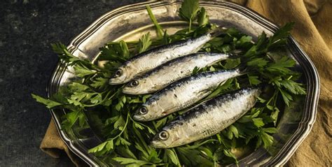 Beneficios De Comer Sardinas Para Tu Salud Estilo Musa Salud