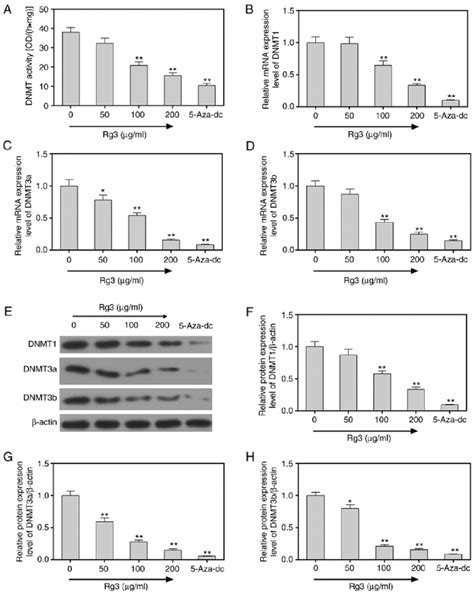 Ginsenoside Rg Inhibits Dnmt Activities In Ovarian Cancer Cells A