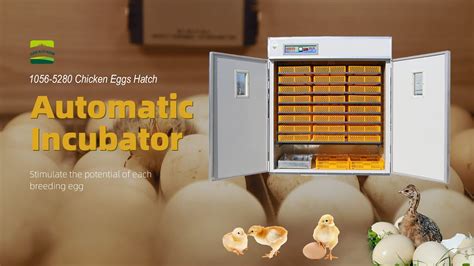 Chicken Eggs Hatch Automatic Multi Purpose Incubation