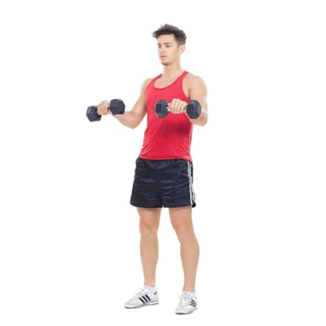 Forearm Exercises Using Dumbbells Off 53