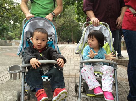 Our Adoption Journey: Day 13: Guangzhou Zoo