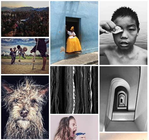 Las Mejores Fotograf As Hechas Con Iphone Los Ippawards