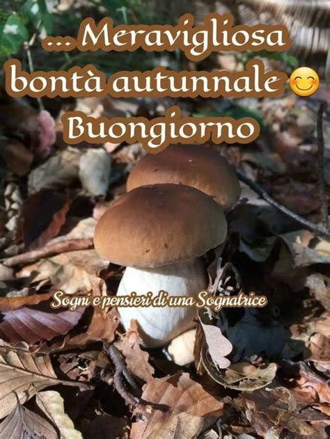 Pin Su Autunno E I Suoi Colori Citazioni Intelligenti