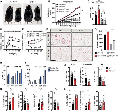 Innate Pd L1 Limits T Cellmediated Adipose Tissue Inflammation And