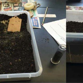 1. Session One: Soil Core Sampling Activity | Download Scientific Diagram