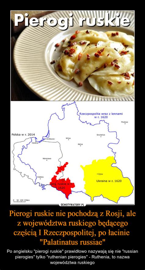 Pierogi Ruskie Nie Pochodzą Z Rosji Ale Z Województwa Ruskiego