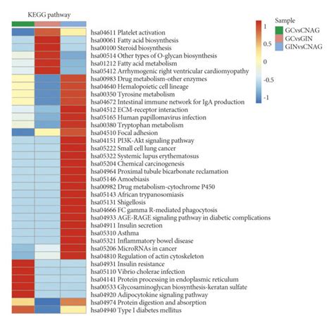 Classifications of proteins identified using the KEGG database ...