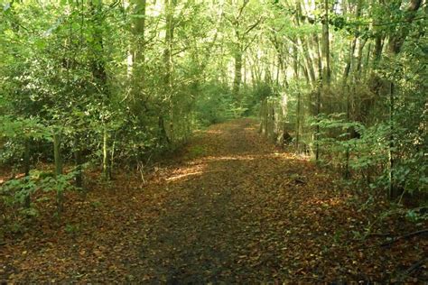 Footpath In High Scrubs Bill Boaden Cc By Sa 2 0 Geograph Britain