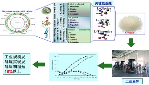 发酵过程优化与控制 生物系统与生物加工工程研究室