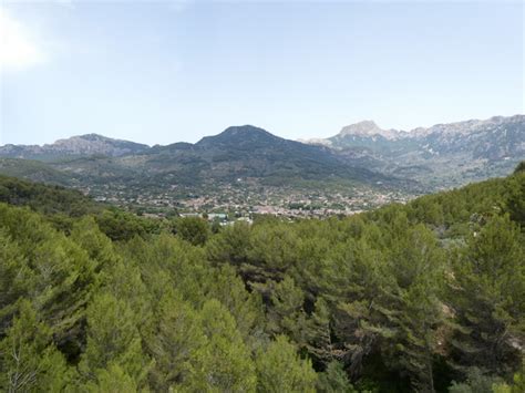 Fahrt Port De Soller Nach Soller Palma Mit Der Historischen