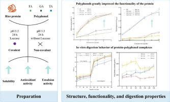 The Effect Of Rice Protein Polyphenols Covalent And Non Covalent