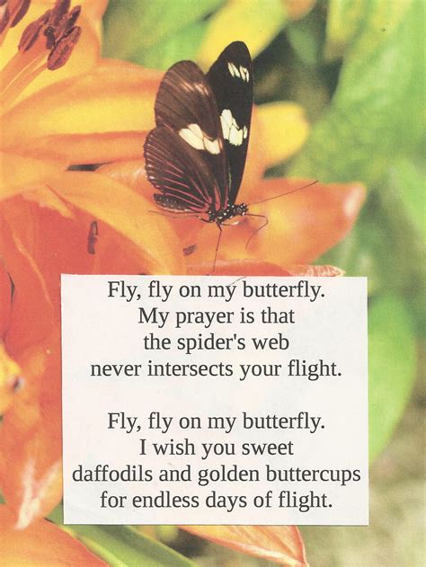 Butterfly Poems