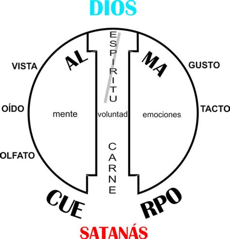 Fichas De Aprendizaje Semana Hacer La Voluntad De Dios Quizlet