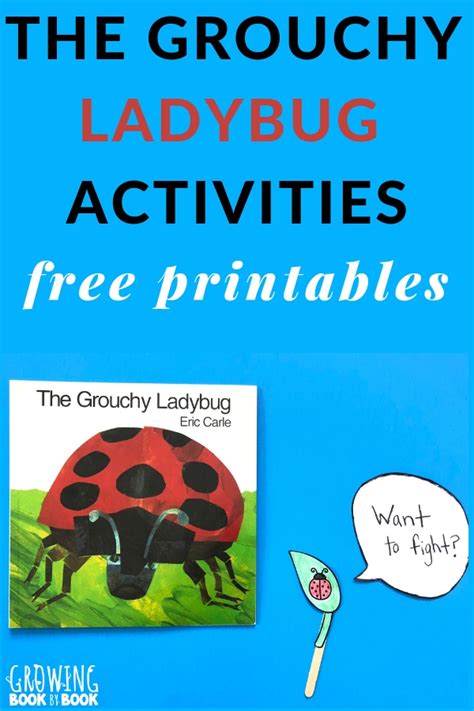 The Grouchy Ladybug Activities