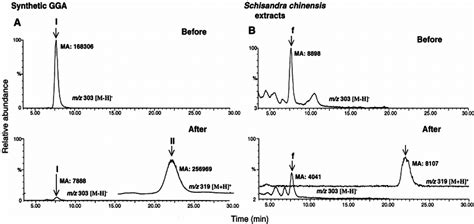 Lc Ms Elution Profiles Of Authentic Gga And S Chinensis Extracts