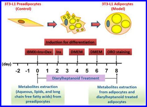 Figure 1 From Multiplatform Metabolomics Investigation Of