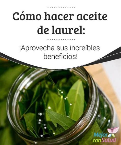 C Mo Hacer Aceite De Laurel Miles De Beneficios El C Mo De Las