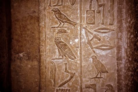 Premium Photo | Ancient egyptian hieroglyphs with the image of ...