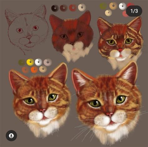 How To Draw A Ginger Kitten Step By Step Как реалистично нарисовать рыжего кота в диджитал