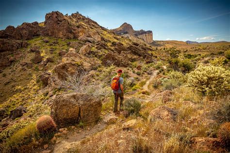 Mojave National Preserve - Adam Elliott Photography