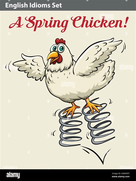 English Idiom Showing A Spring Chicken Stock Vector Image And Art Alamy