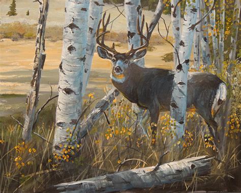 Boulder Mule Deer Painting By Scott Thompson